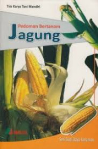 Pedoman Bertanam Jagung