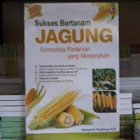 Sukses Bertanam Jagung Komuditas Pertanian yang Menjanjikan
