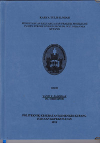 Pengetahuan keluarga dan praktik mobilisasi pasien stroke di RSUD. Prof. Dr. W.Z. Johannes Kupang