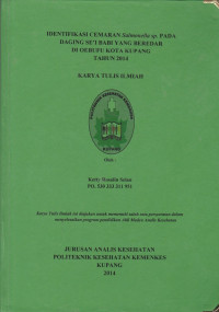 Identifikasi cemaran salmonella sp. pada daging se'i babi yang beredar di Oebufu kota Kupang tahun 2014