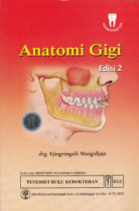 Anatomi Gigi