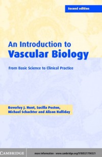 An Introduction to Vascular Biology