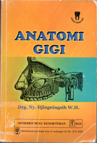 Anatomi gigi