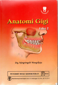 Anatomi gigi