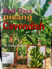 budidaya pisang Cavendish