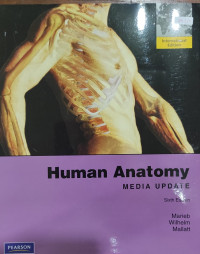 Human Anatomy